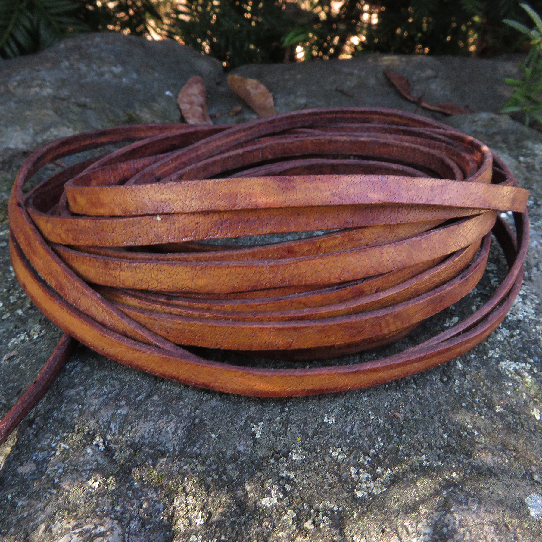 Lederband Flach 5 mm x 1,5 mm - Antik Braun. Länge: 50 m auf Rolle